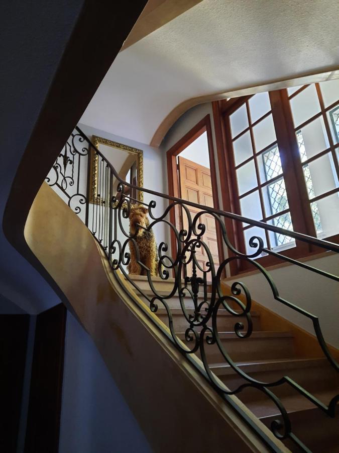 Le Clos Des Soyeux Saint-Victor-sur-Rhins Экстерьер фото