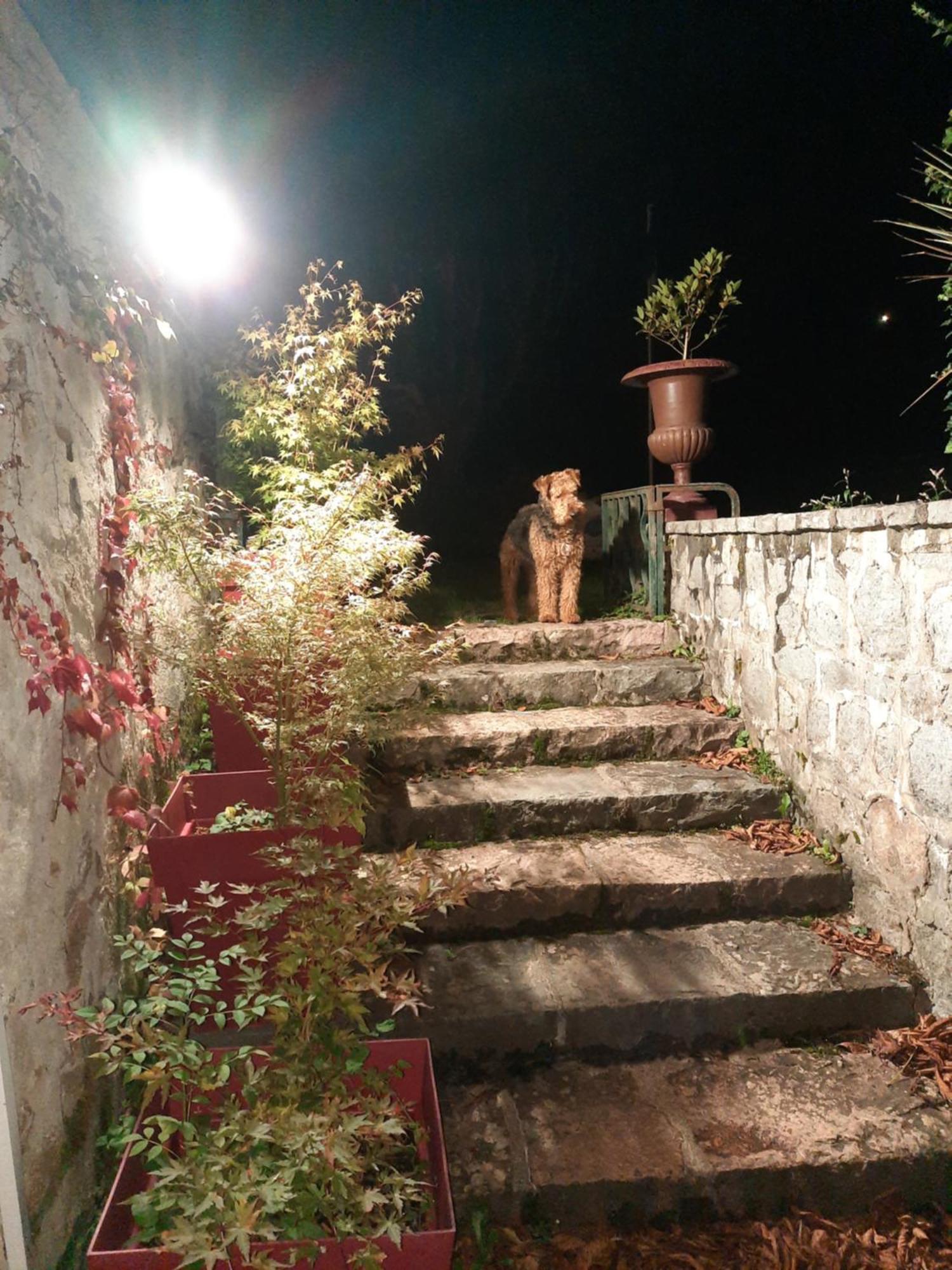 Le Clos Des Soyeux Saint-Victor-sur-Rhins Экстерьер фото